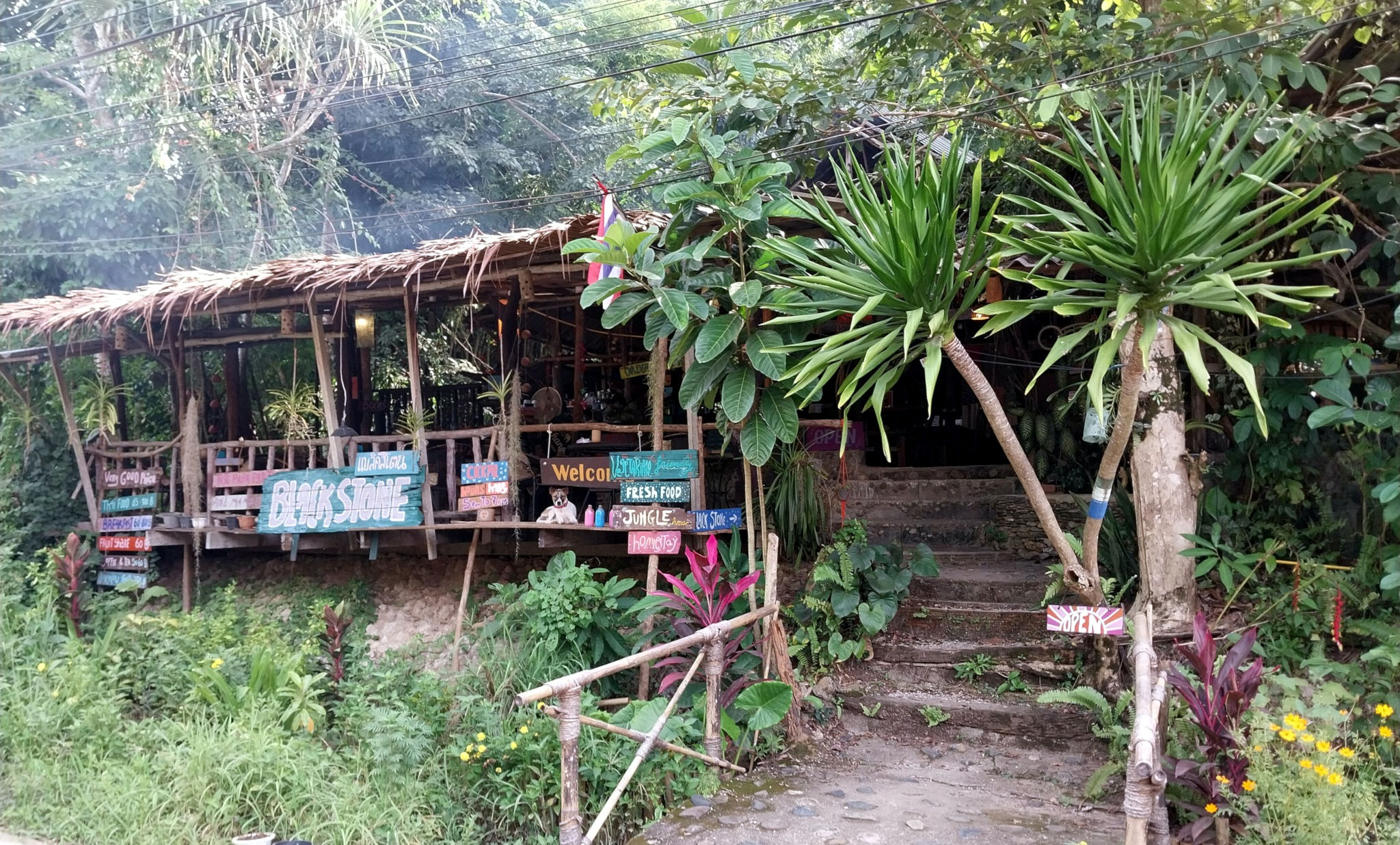 Thailand #19 – Khoa Sok