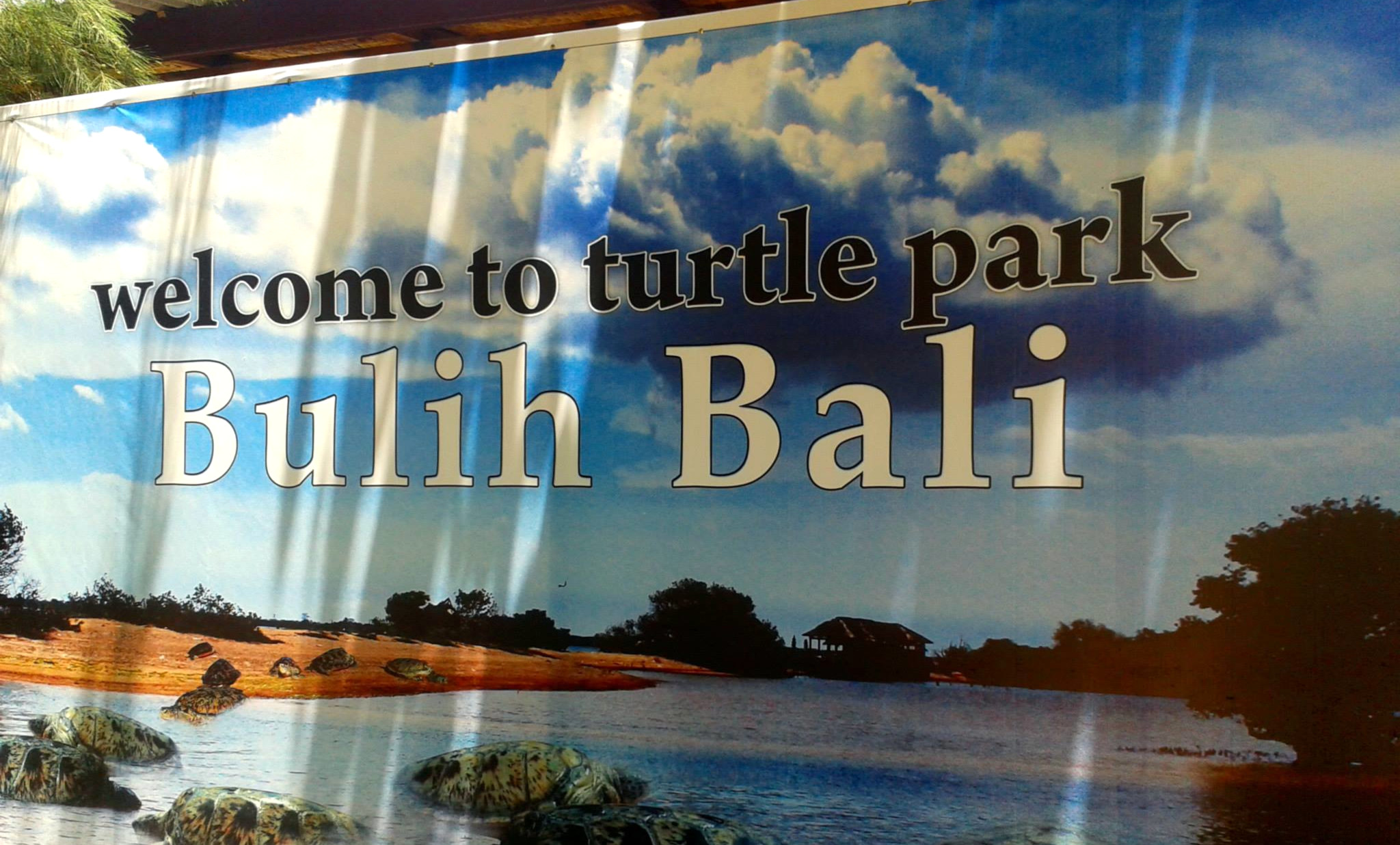 Turtle Park Bali