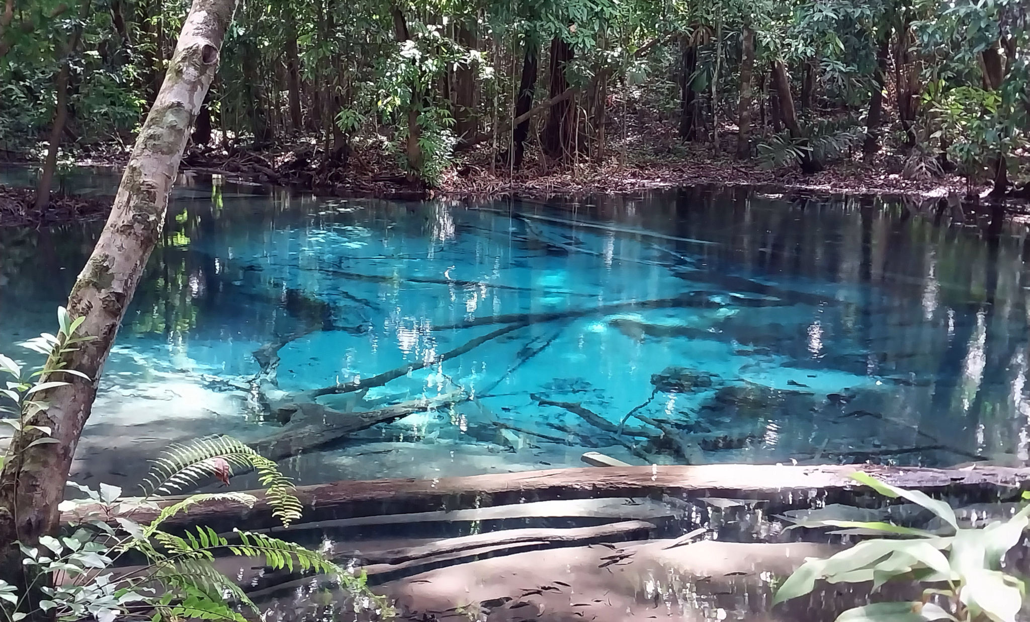 Blue Pool in Krabi Thailand