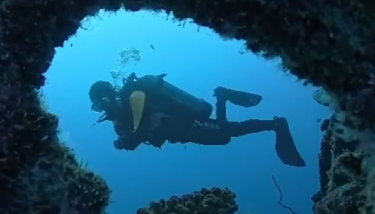 Self-Reliant SCUBA Diver